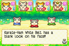 screenshots/Game Boy Advance/Hamtaro - Rainbow Rescue/Hamtaro - Rainbow Rescue (Eng) 073.png
